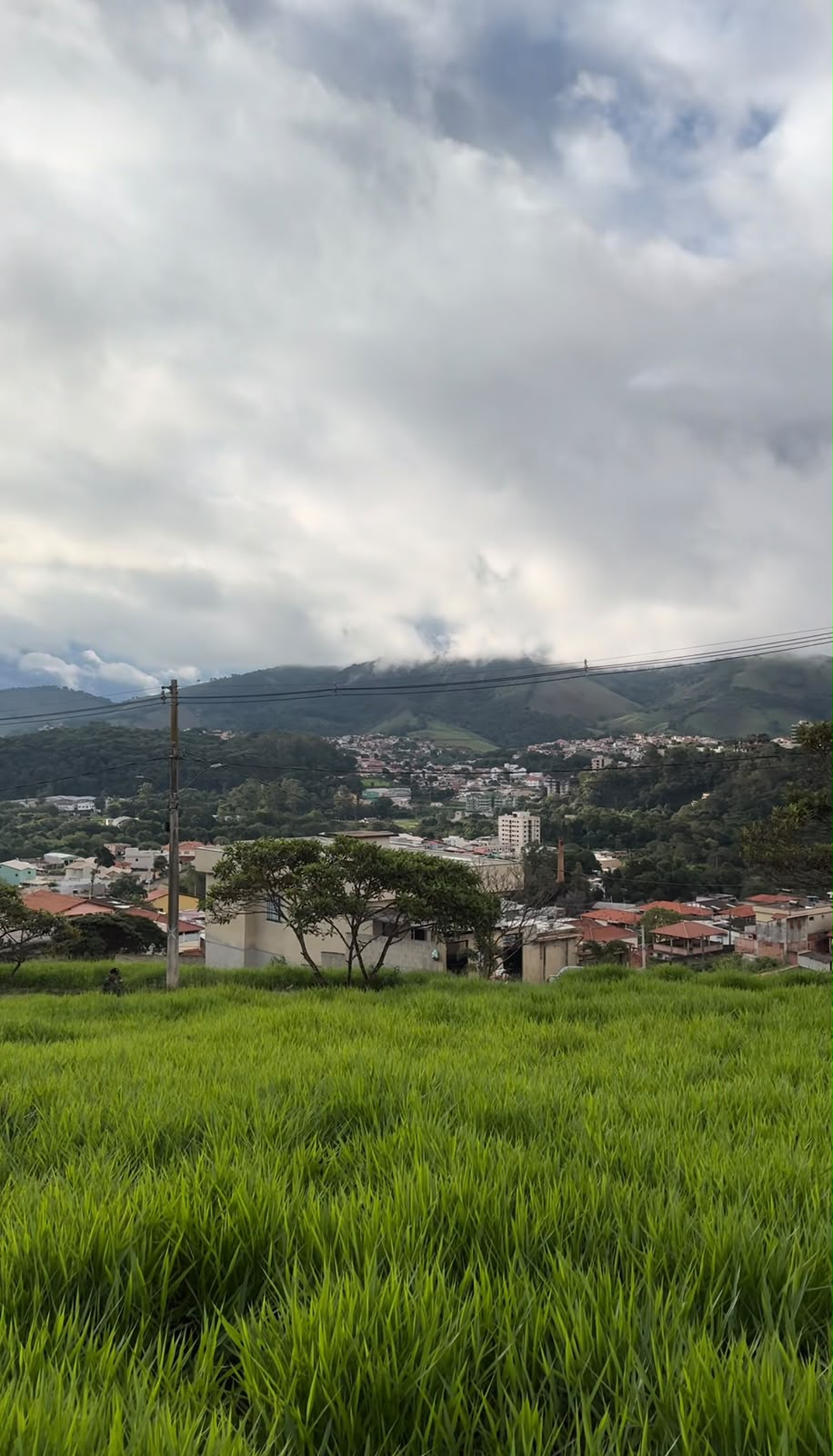 Foto 5 de Terreno no Residencial Ferreira de Souza