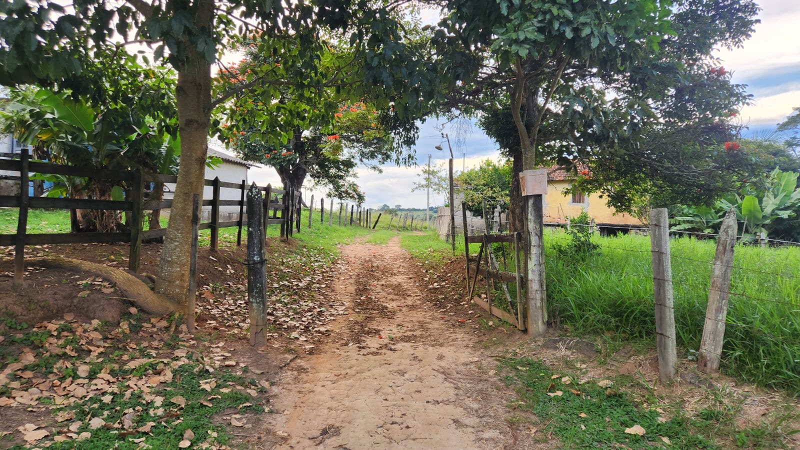 Foto 2 de Sítio a Venda em Soledade de Minas