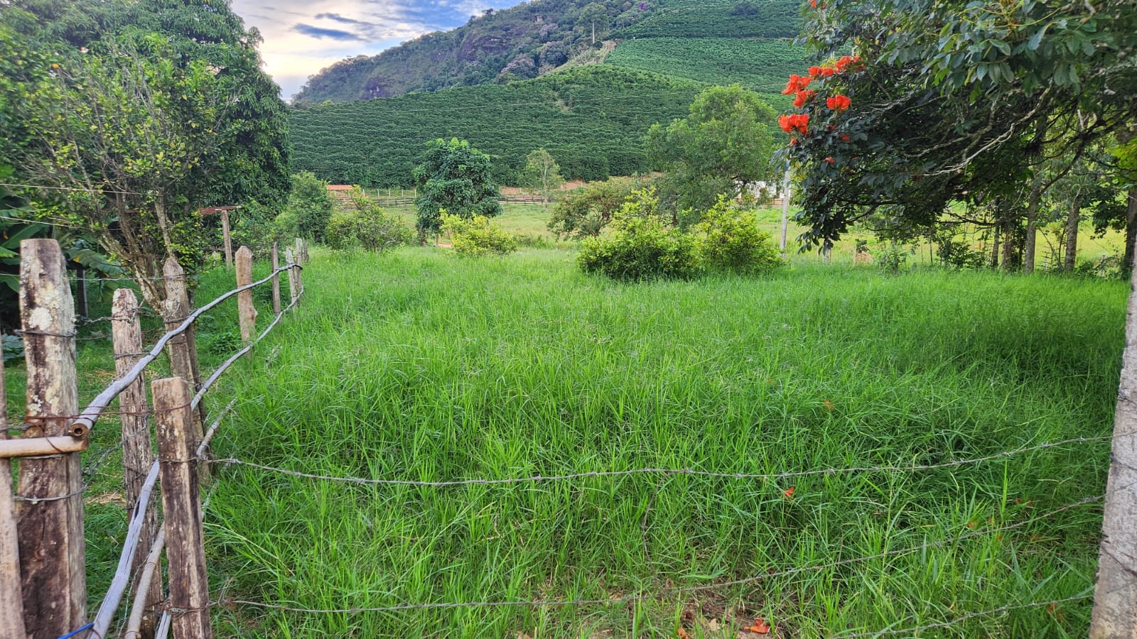 Foto 3 de Sítio a Venda em Soledade de Minas